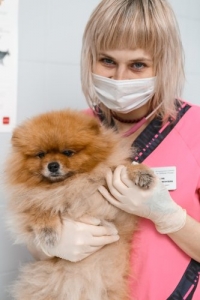 Соленкова Анастасия Алексеевна