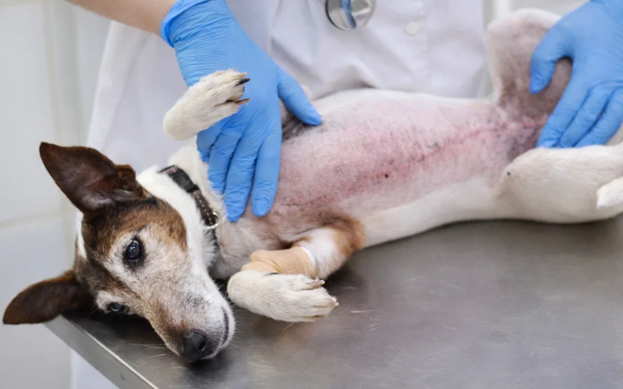 Памятка - подготовка к мастэктомии