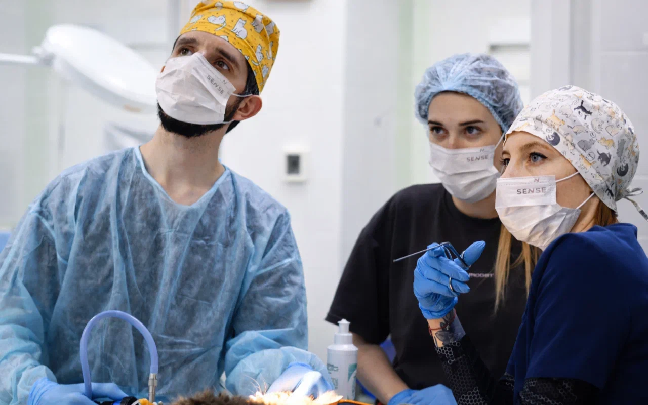 Памятка - перед проведением плановой риноскопии