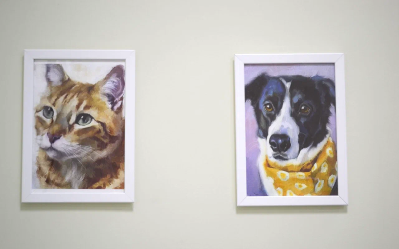 В московских музеях появятся зоны для отдыха питомцев