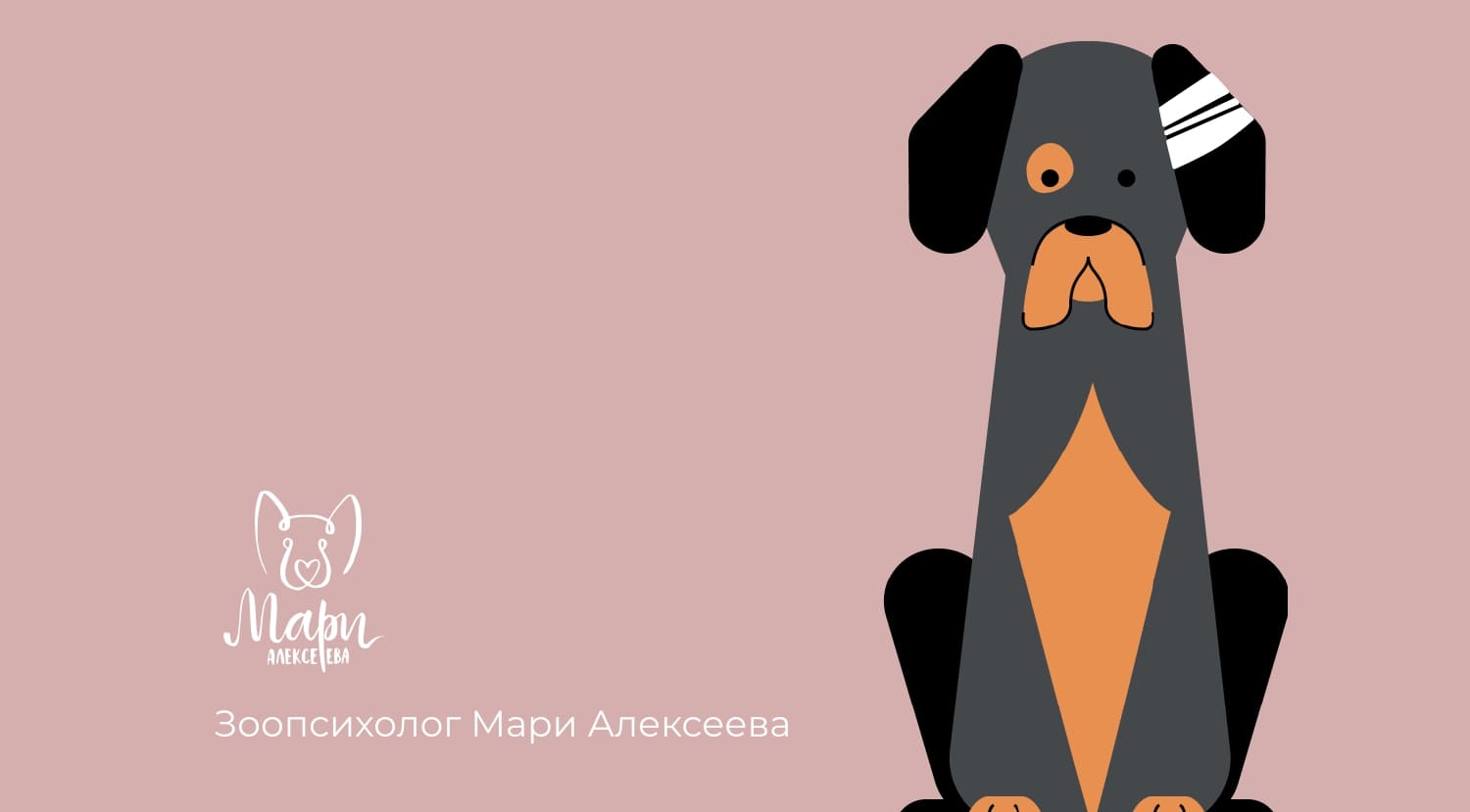 Советы зоопсихолога — как подготовить собаку к приему