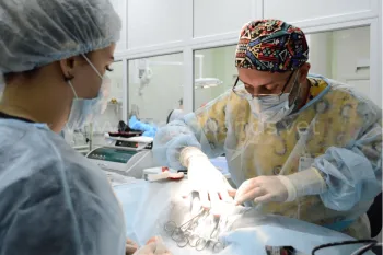 Неврология в ветеринарной клинике «в Добрые Руки»