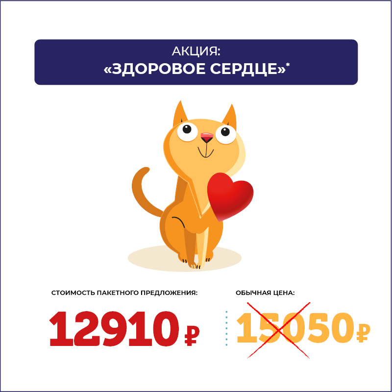 Проверьте сердце питомца со скидкой 14%. Программа «Здоровое сердце» Проверьте сердце питомца со скидкой 14%. Программа «Здоровое сердце»