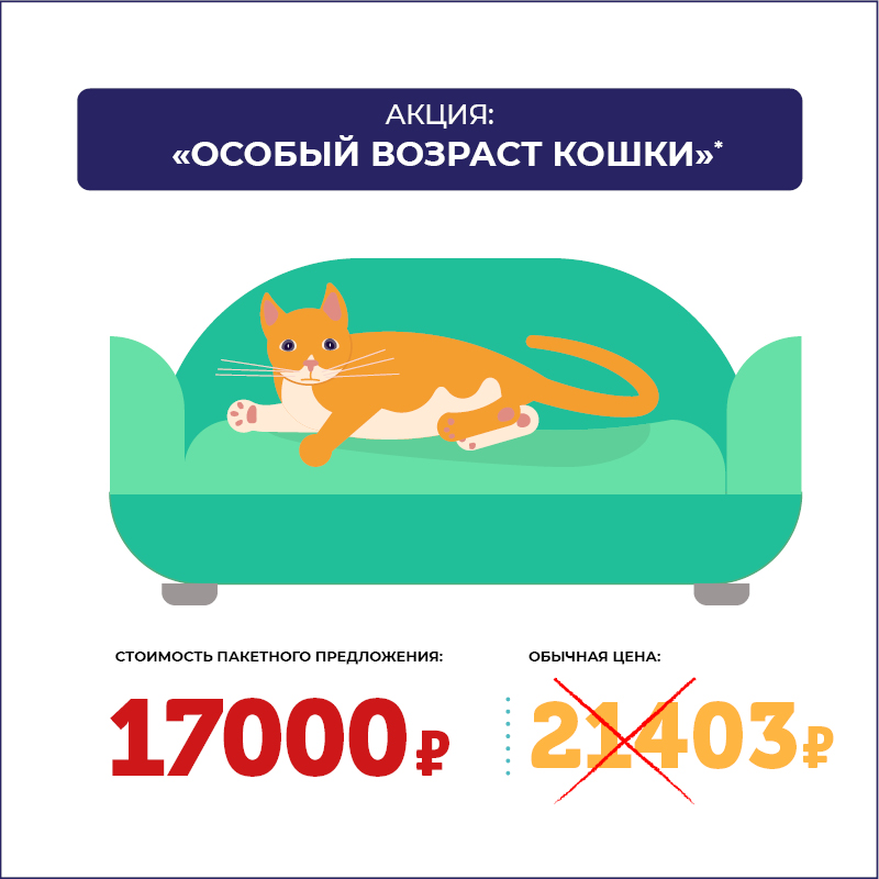 Проверьте здоровье вашей кошки со скидкой 20%. Программа диспансеризации «Особый возраст кошки» Проверьте здоровье вашей кошки со скидкой 20%. Программа диспансеризации «Особый возраст кошки»