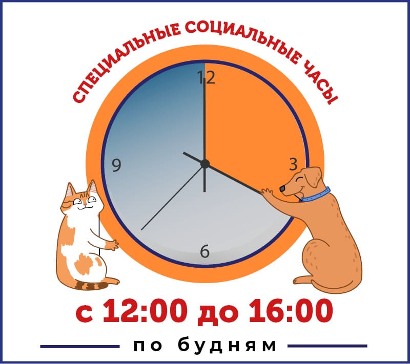 Акция: Социальные часы Акция: Социальные часы