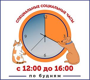 Акция: Социальные часы