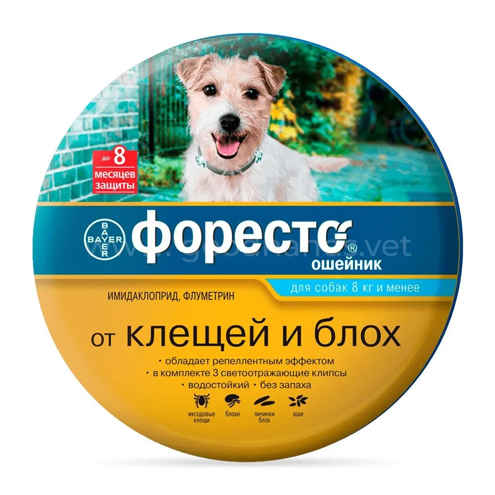 форесто ошейник