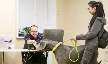 Диагностика Диагностика