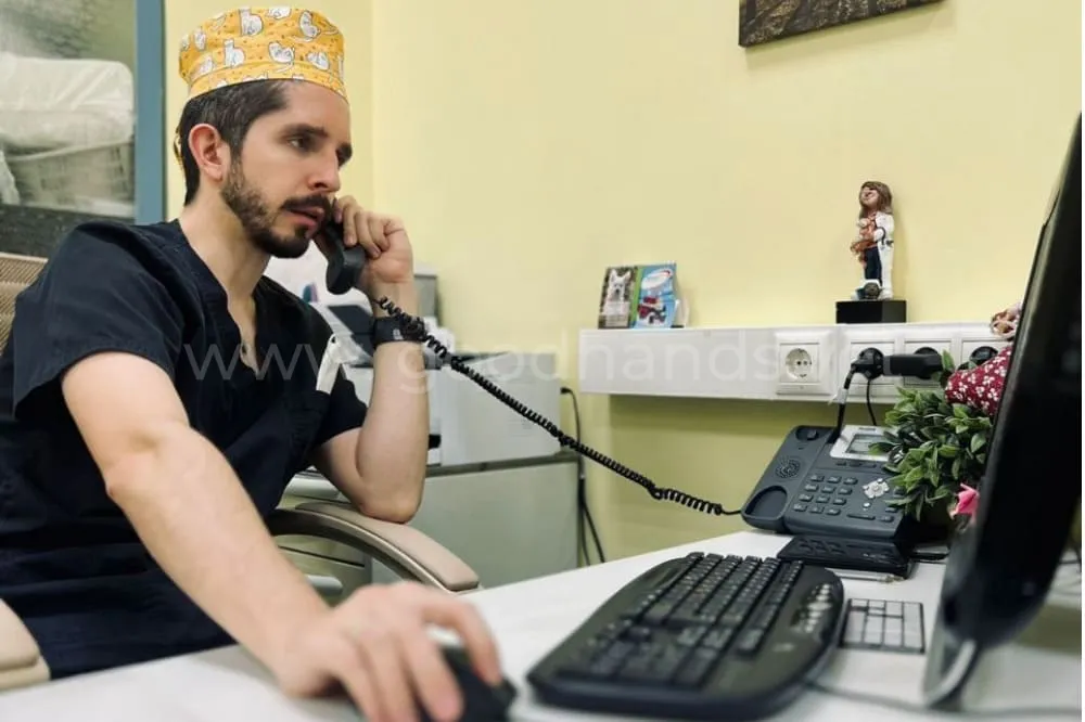 Консультация онлайн в ветеринарной клинике #вДобрыеРуки