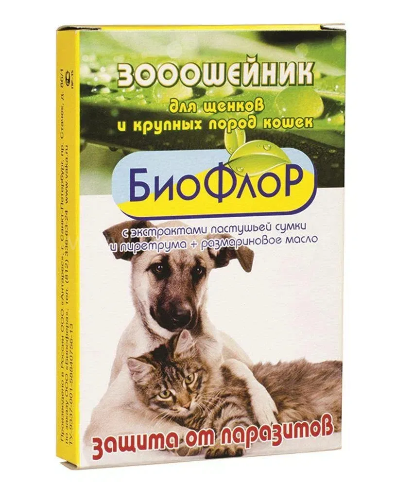orig.jpg orig.jpg