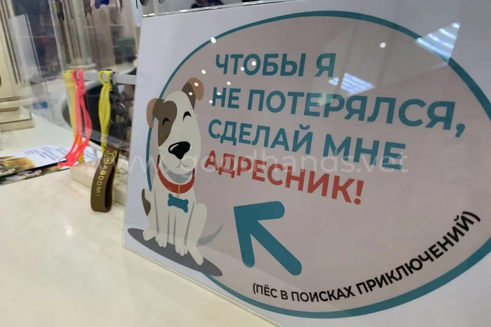 Аптека и зоомагазин в ветеринарной клинике «в Добрые Руки»