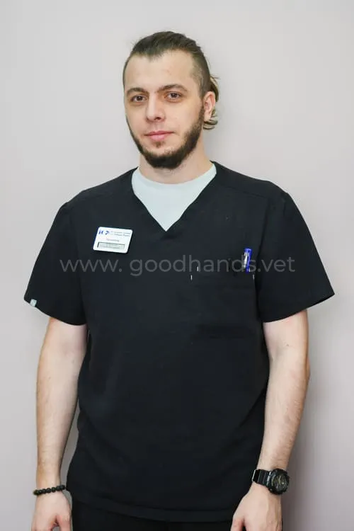 Дубровский Сергей Дмитриевич