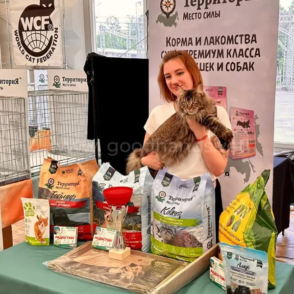 image_7014721_13204802 (1).png image_7014721_13204802 (1).png
