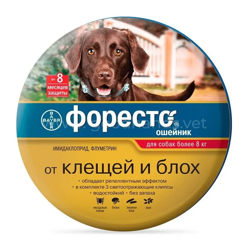 168.970.jpg 168.970.jpg
