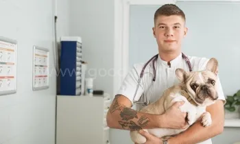 Вызов на дом Вызов на дом