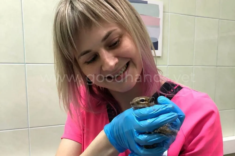 Лечение экзотических животных в ветеринарной клинике «в Добрые Руки»